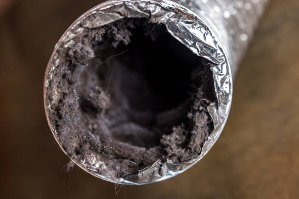 Best Ductwork Cleaning Services  in Maplewood, MO